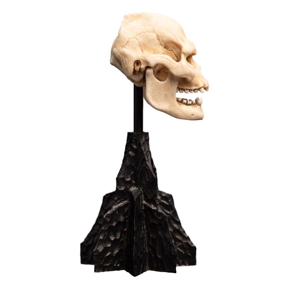 Lord of the Rings Mini Statue Skull of Lurtz 14 cm - MangaShop.ro