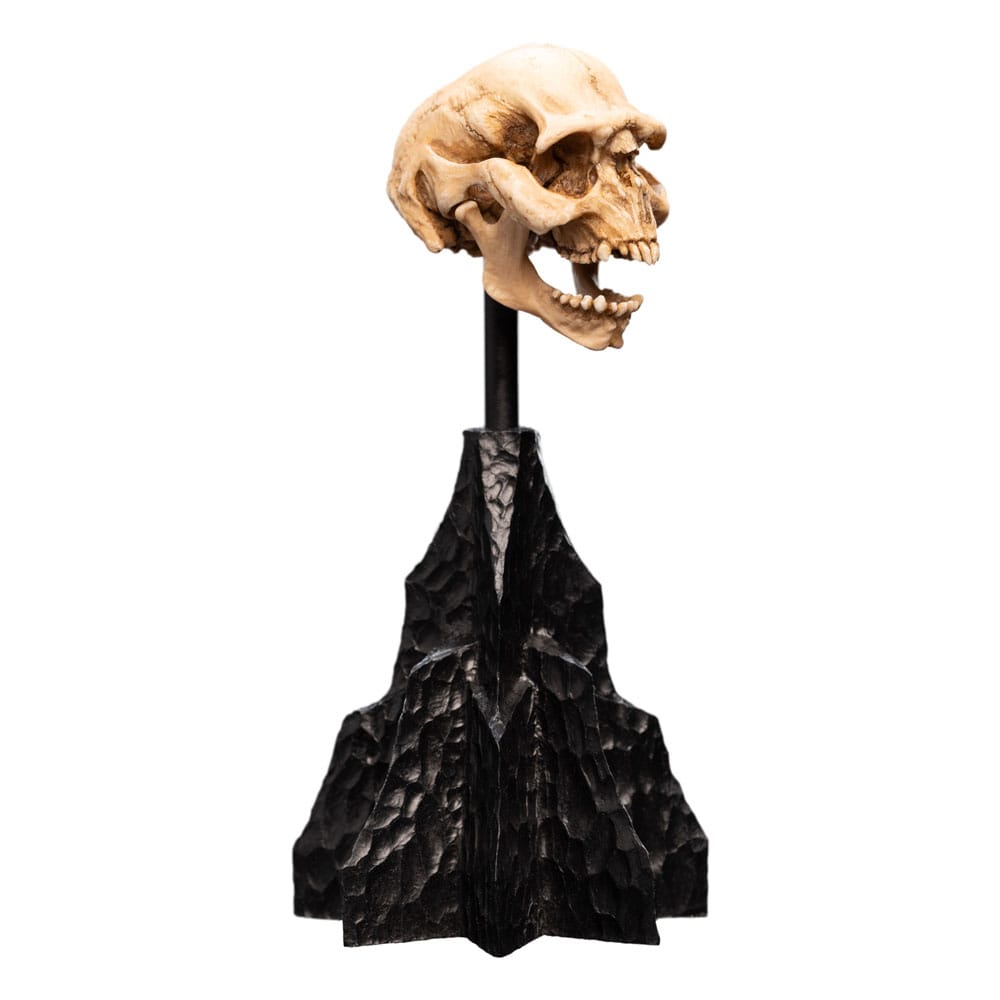 Lord of the Rings Mini Statue Skull of a Moria Orc 13 cm - MangaShop.ro