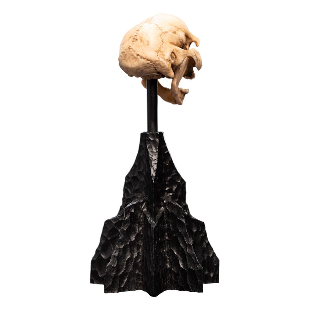 Lord of the Rings Mini Statue Skull of a Moria Orc 13 cm - MangaShop.ro