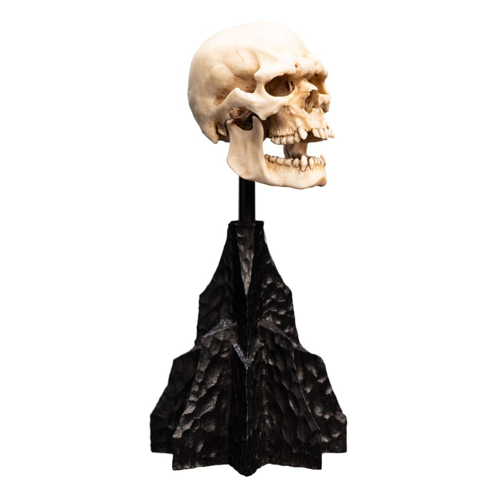 Lord of the Rings Mini Statue Skull of a Mordor Orc 14 cm - MangaShop.ro