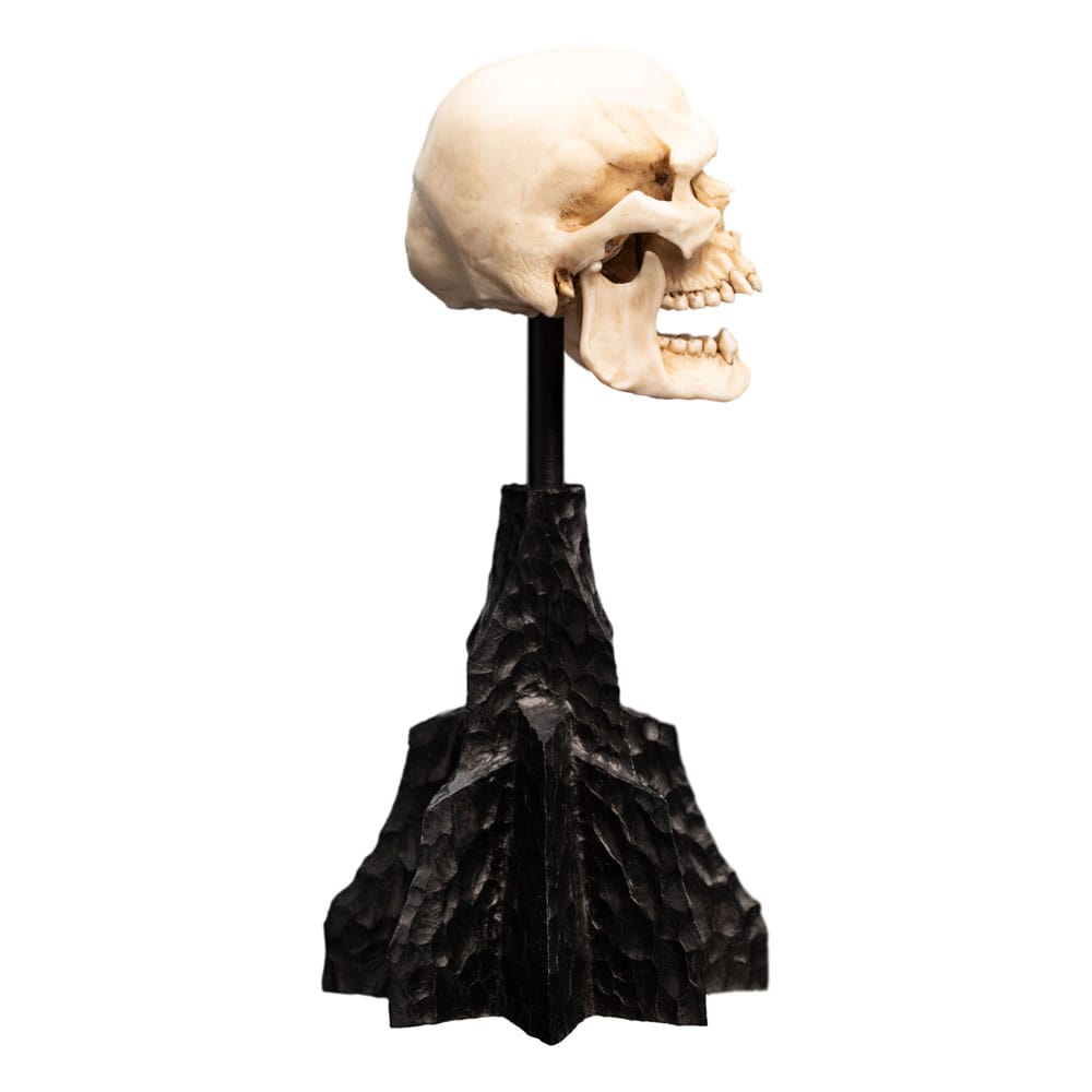 Lord of the Rings Mini Statue Skull of a Mordor Orc 14 cm - MangaShop.ro