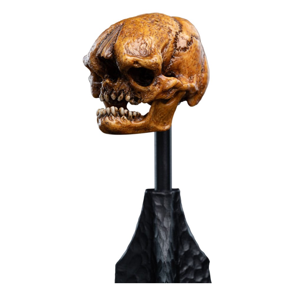 Lord of the Rings Mini Statue Skull of a Misty Mountain Goblin 14 cm - MangaShop.ro
