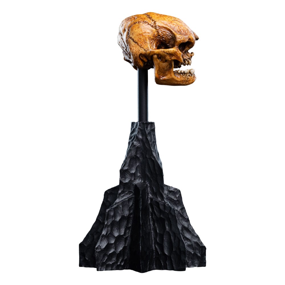 Lord of the Rings Mini Statue Skull of a Misty Mountain Goblin 14 cm - MangaShop.ro