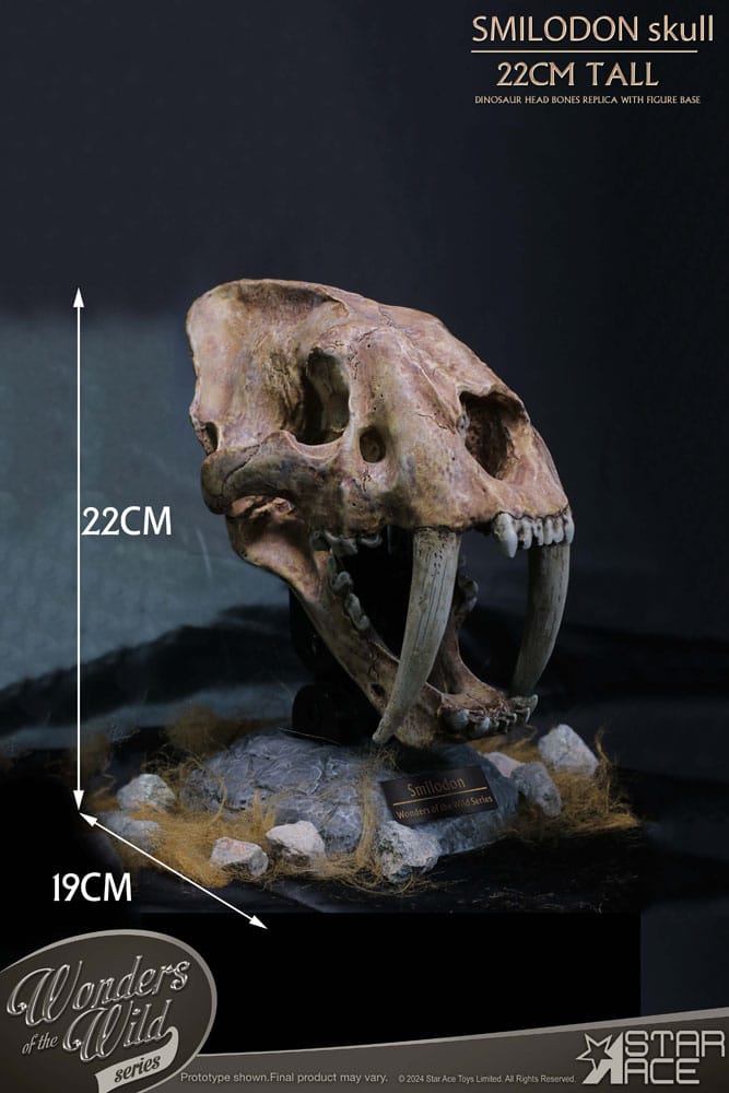 Wonders of the Wild Series Statue Smilodon Skull Fossil 22 cm - MangaShop.ro
