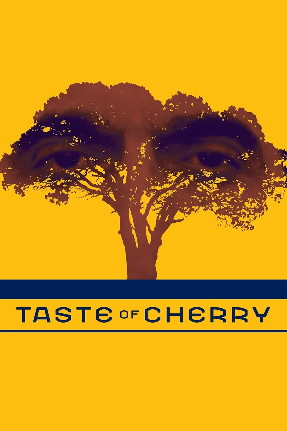 Cherry 2000 DVD - MangaShop.ro