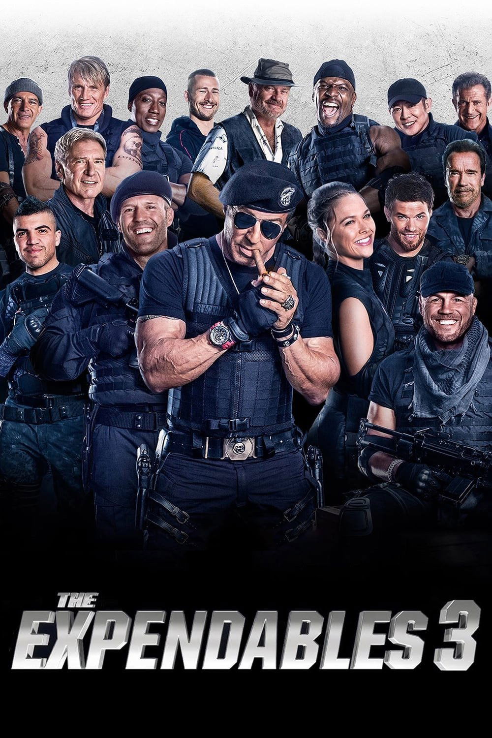 The Expendables 3 2014 DVD - MangaShop.ro