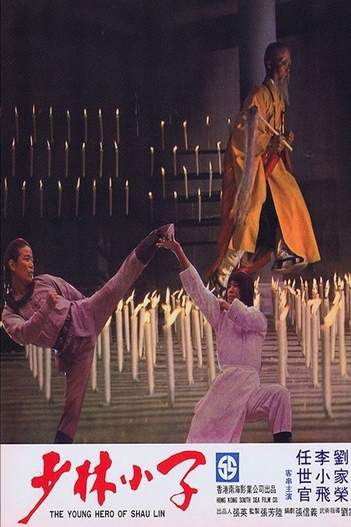 Hero Of Shaolin DVD - MangaShop.ro