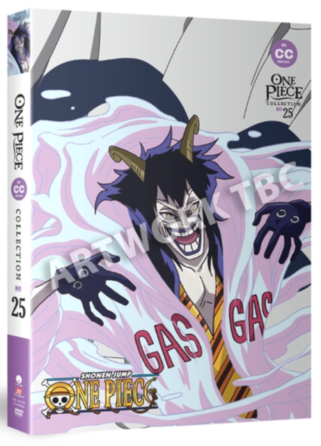 One Piece: Collection 25 2013 DVD / Box Set - MangaShop.ro