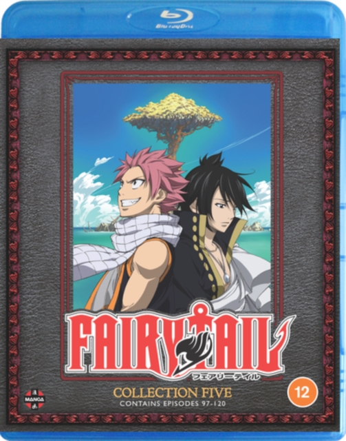 Fairy Tail: Collection 5 2011 Blu-ray / Box Set - MangaShop.ro
