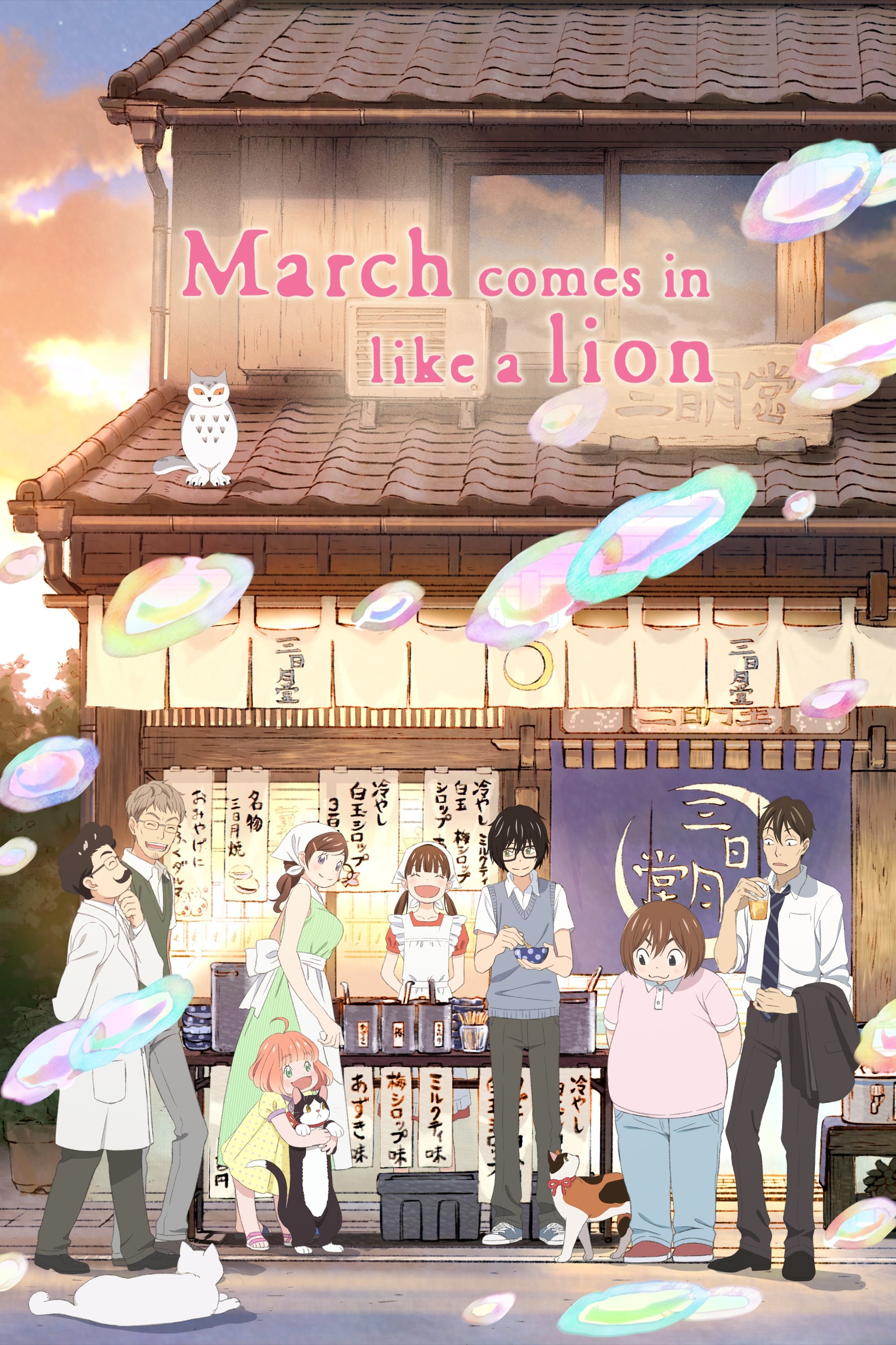 March Comes in Like a Lion: Season 1 - Part 2 2016 Blu-ray / Box Set - MangaShop.ro