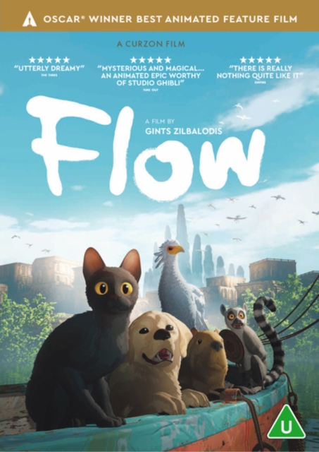 Flow 2024 DVD - MangaShop.ro