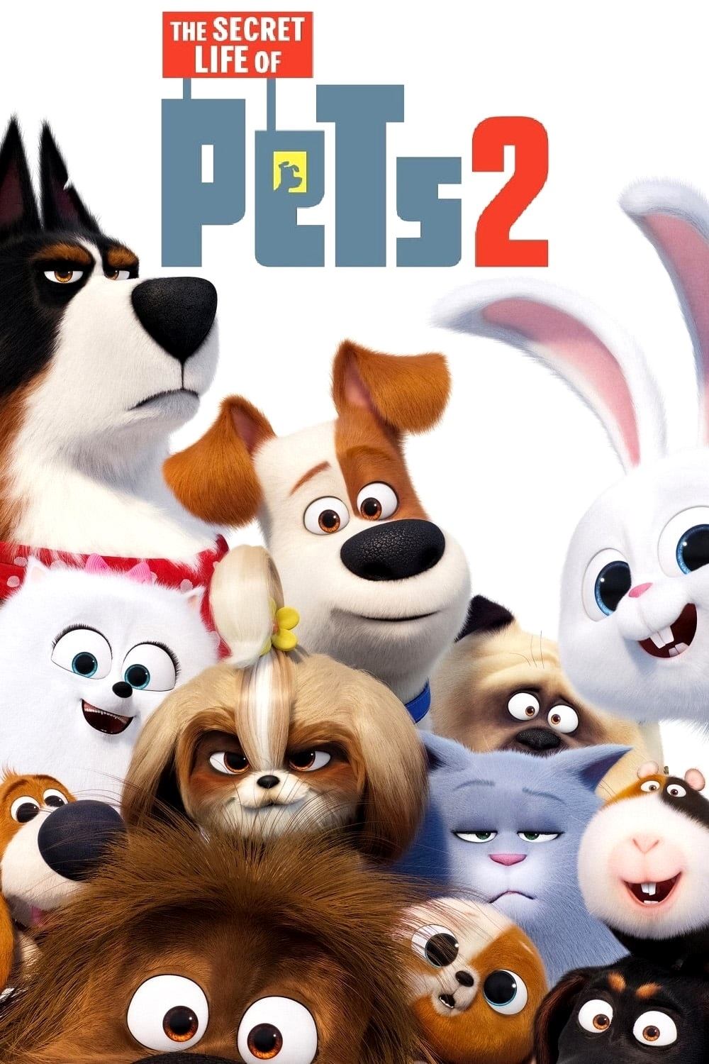 The Secret Life of Pets 2 2019 DVD - MangaShop.ro