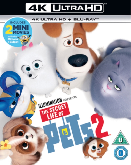 The Secret Life of Pets 2 2019 Blu-ray / 4K Ultra HD + Blu-ray - MangaShop.ro