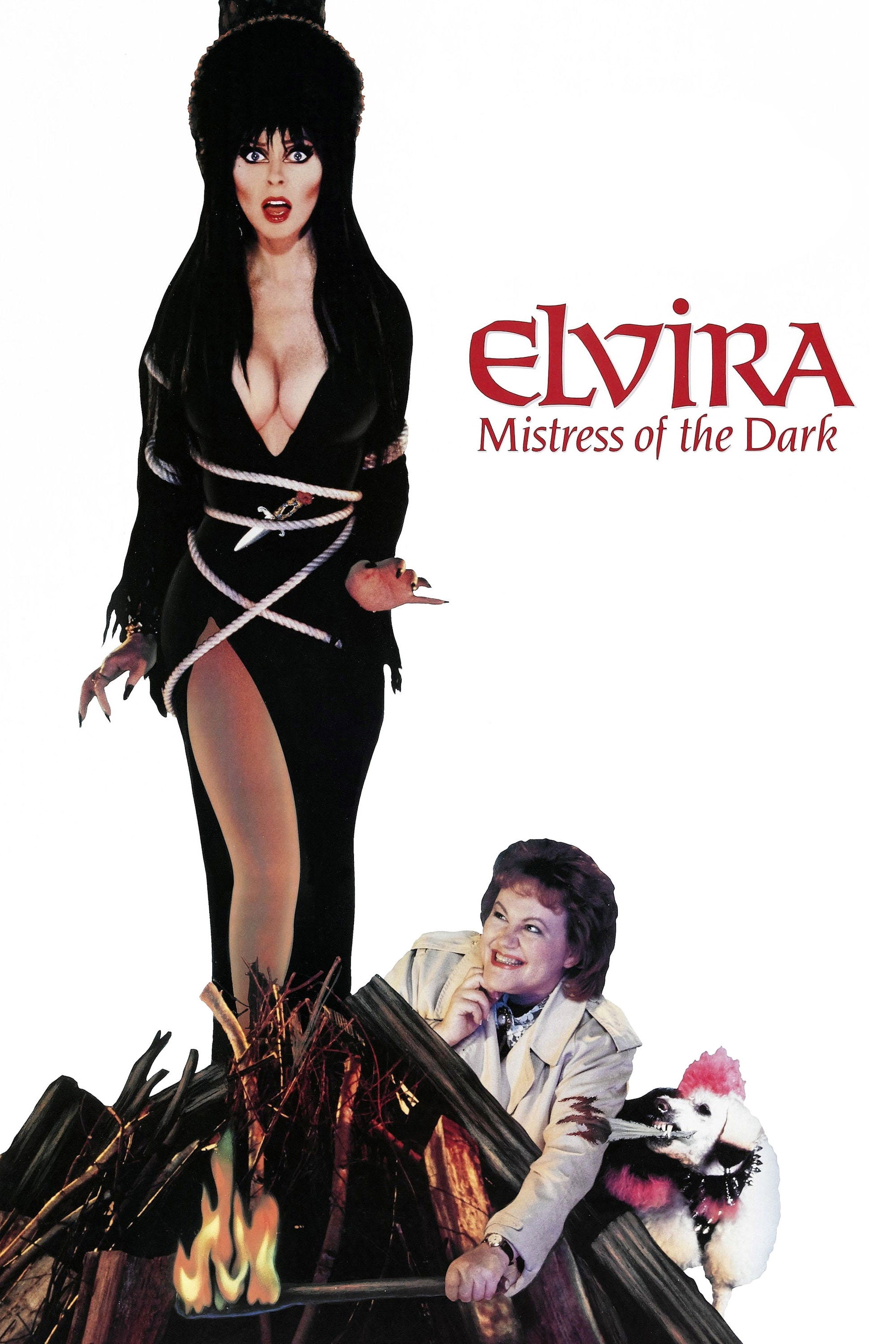 Elvira - Mistress of the Dark 1988 Blu-ray / 4K Ultra HD (Restored Limited Edition) - MangaShop.ro