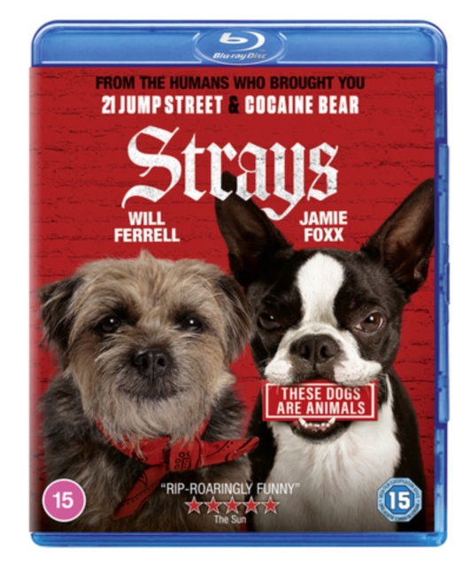 Strays 2023 Blu-ray - MangaShop.ro