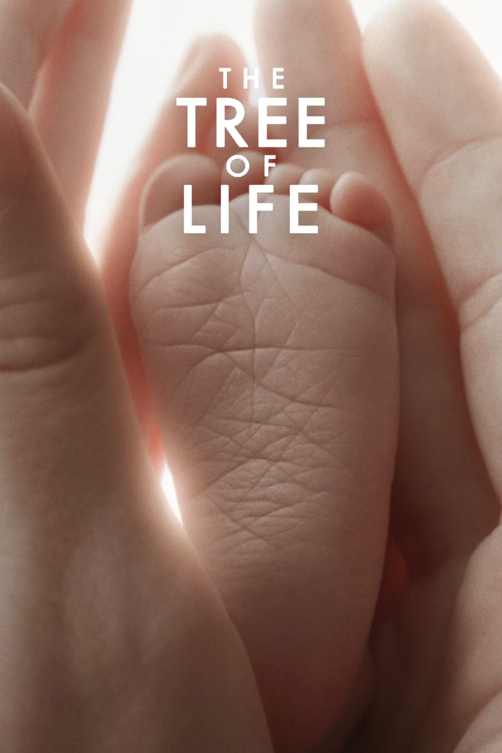The Tree of Life 2011 DVD - MangaShop.ro