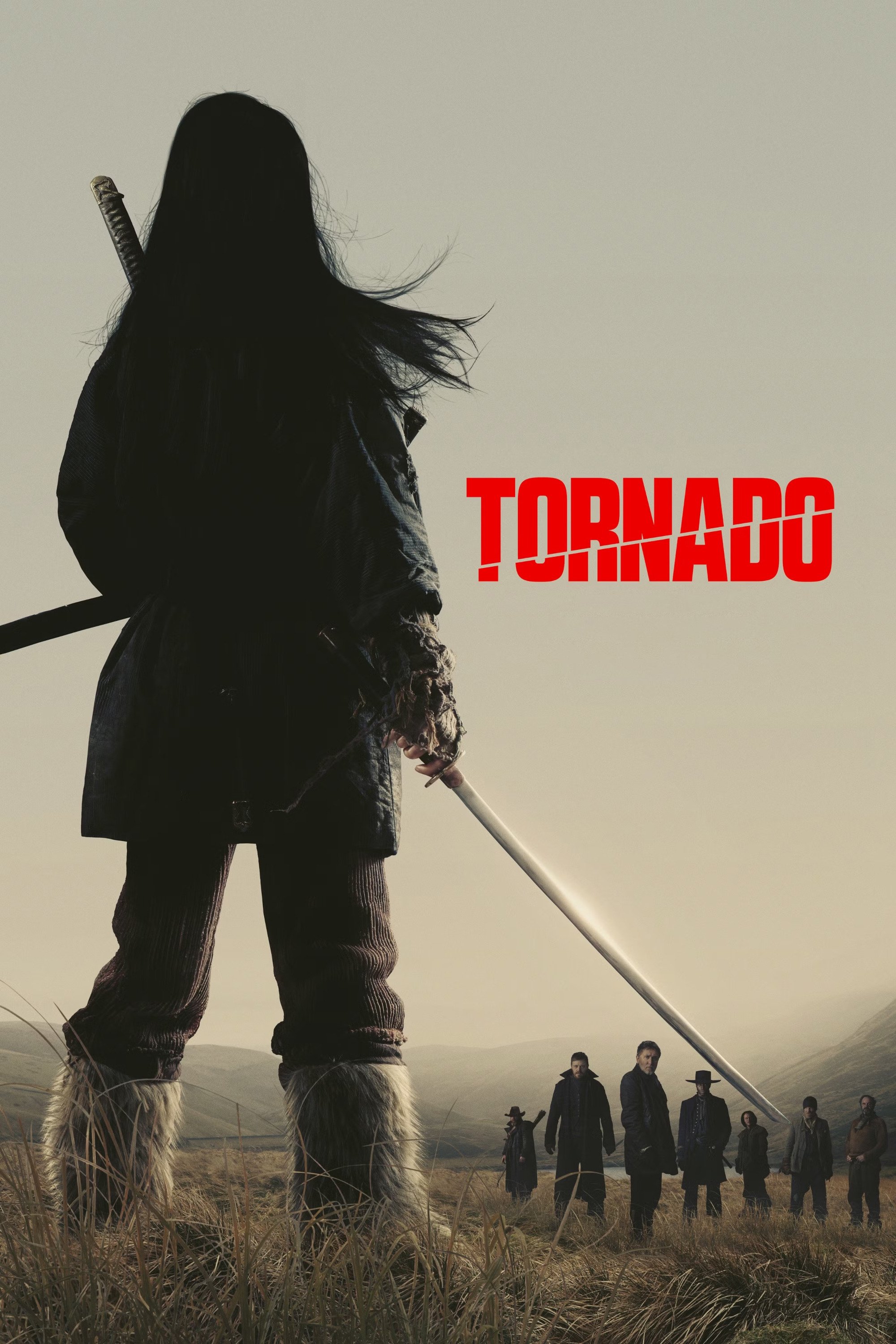 Tornado 2025 Blu-ray - MangaShop.ro