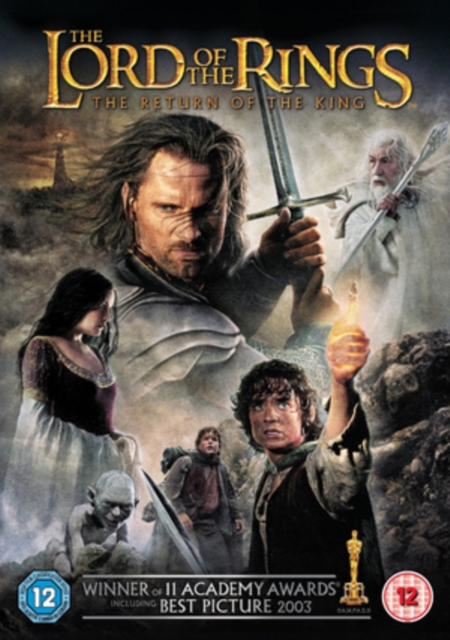 The Lord Of The Rings - The Return Of The King DVD - MangaShop.ro