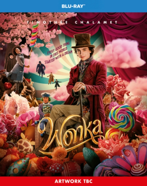 Wonka 2023 Blu-ray - MangaShop.ro