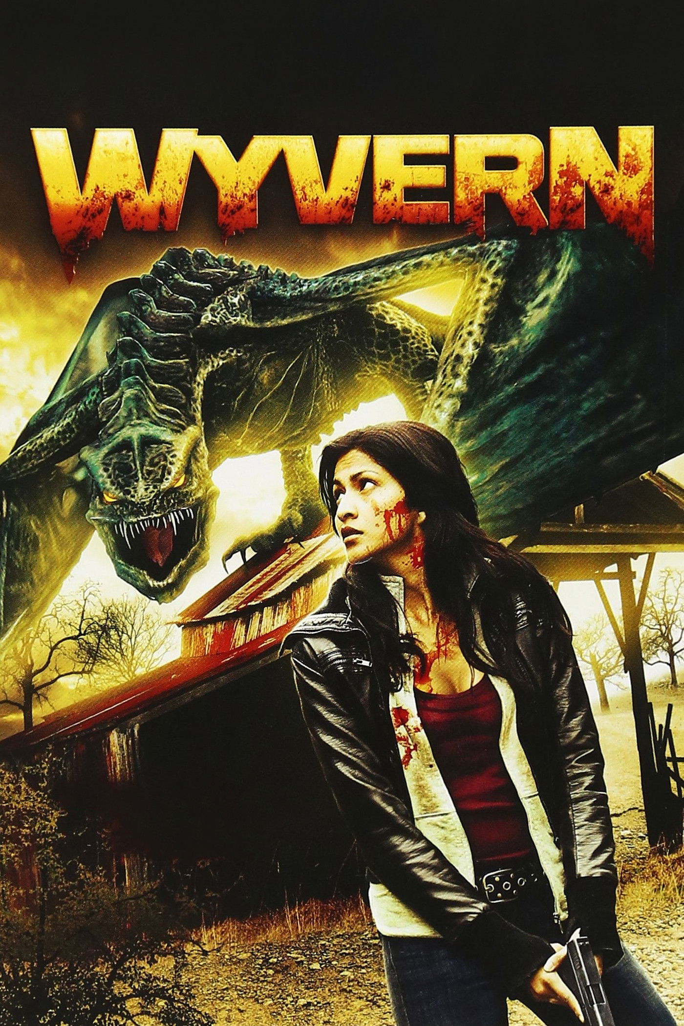 Wyvern DVD - MangaShop.ro