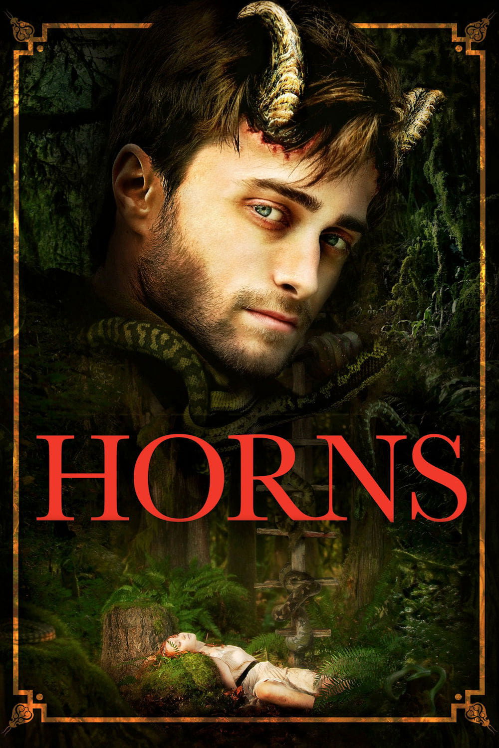 Horns DVD - MangaShop.ro