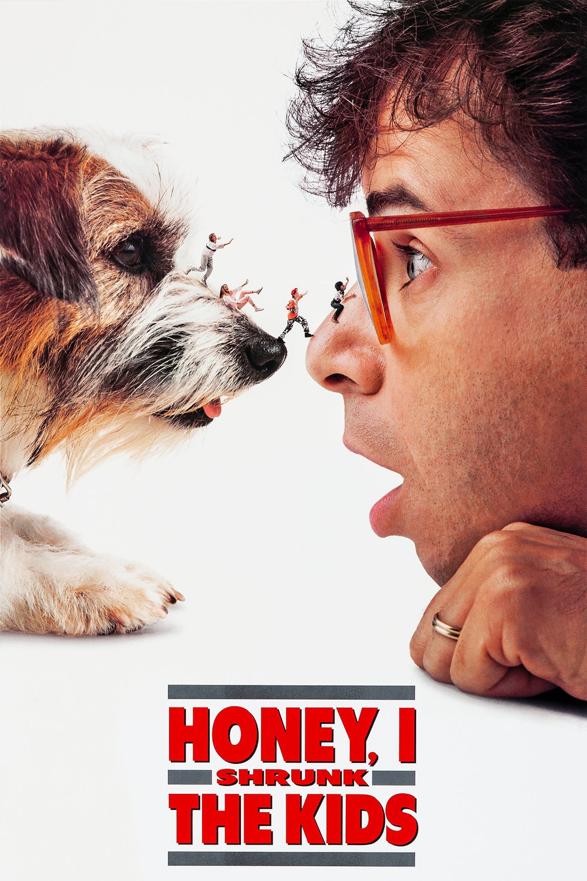 Honey, I Shrunk The Kids DVD - MangaShop.ro