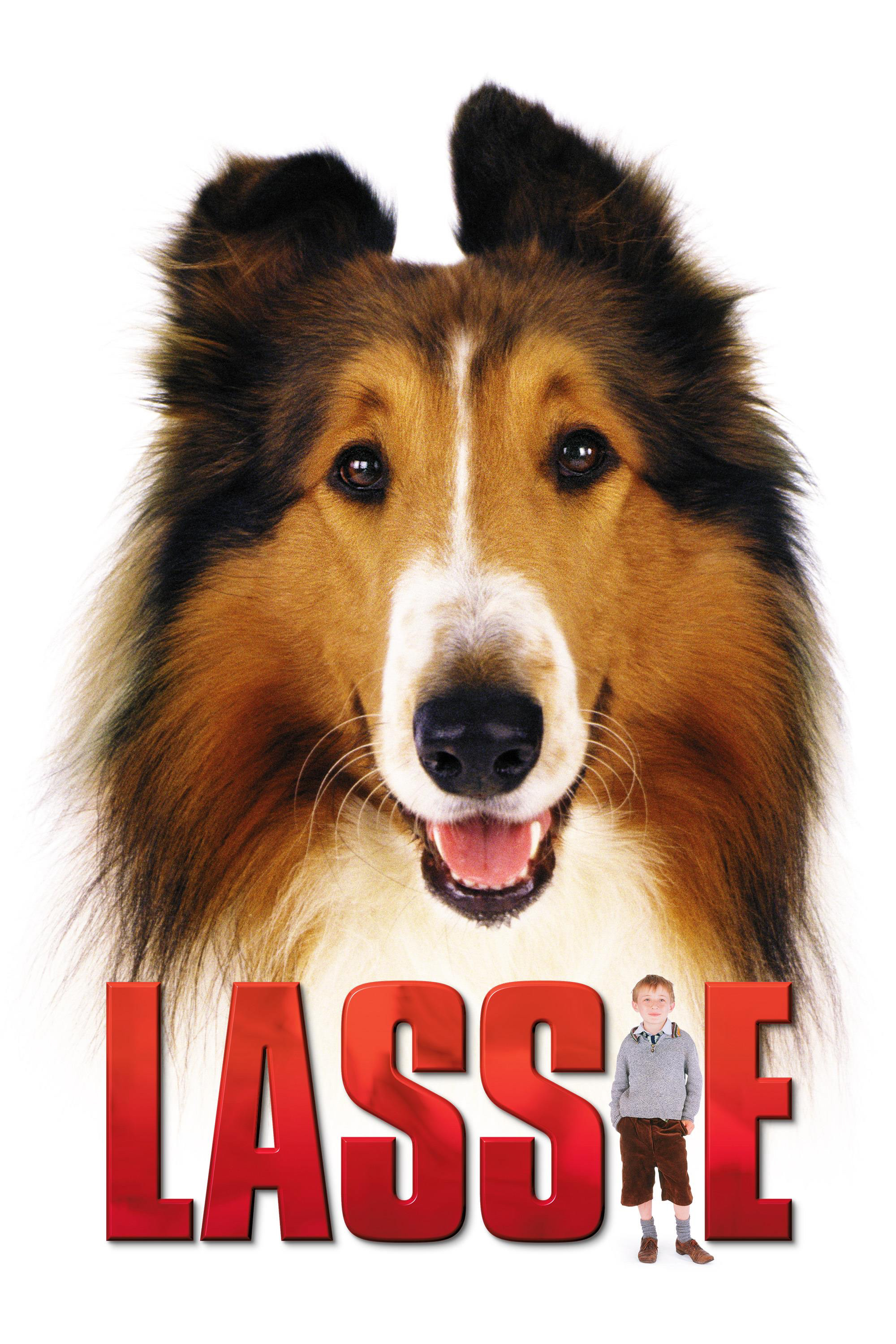 Lassie 2005 DVD - MangaShop.ro