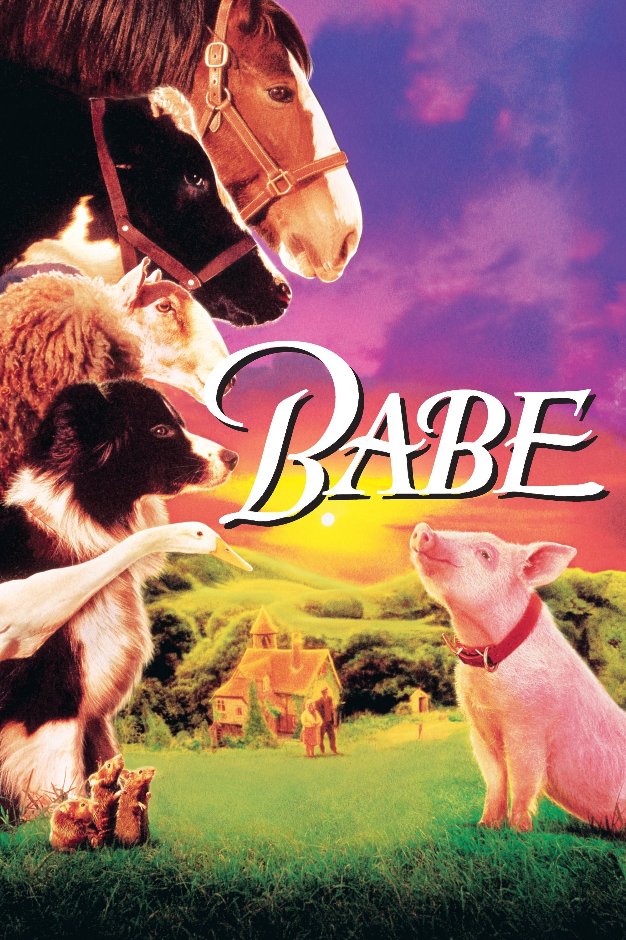 Babe DVD - MangaShop.ro