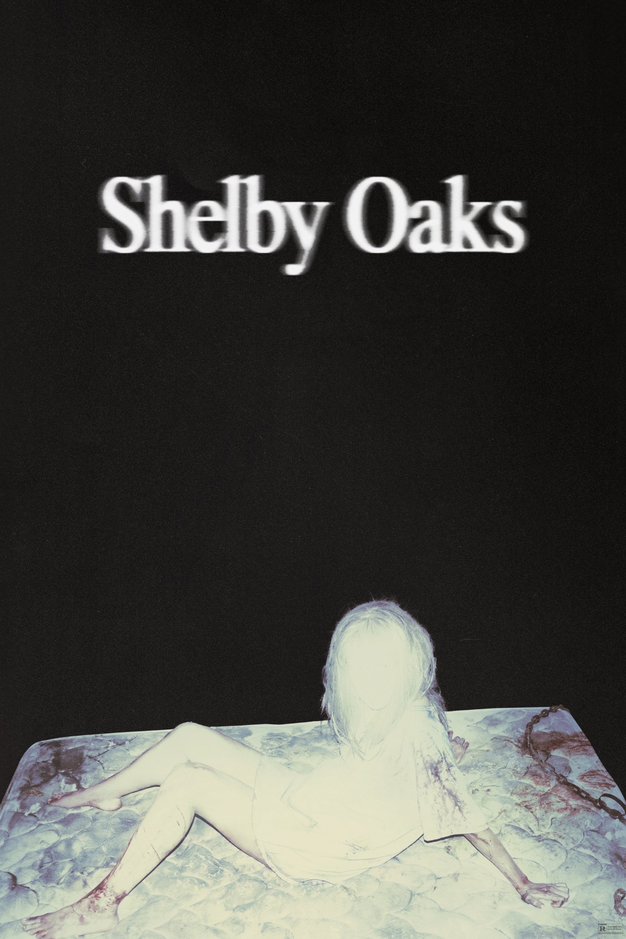 Shelby Oaks 2024 DVD - MangaShop.ro