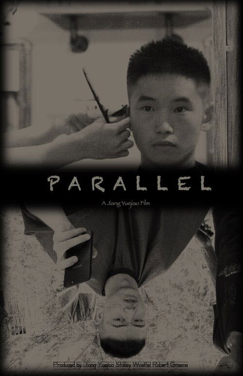Parallel 2020 DVD - MangaShop.ro