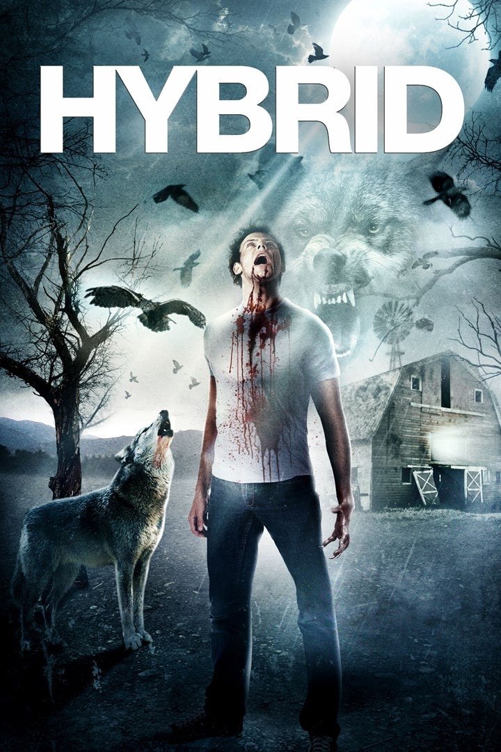 Hybrid DVD - MangaShop.ro