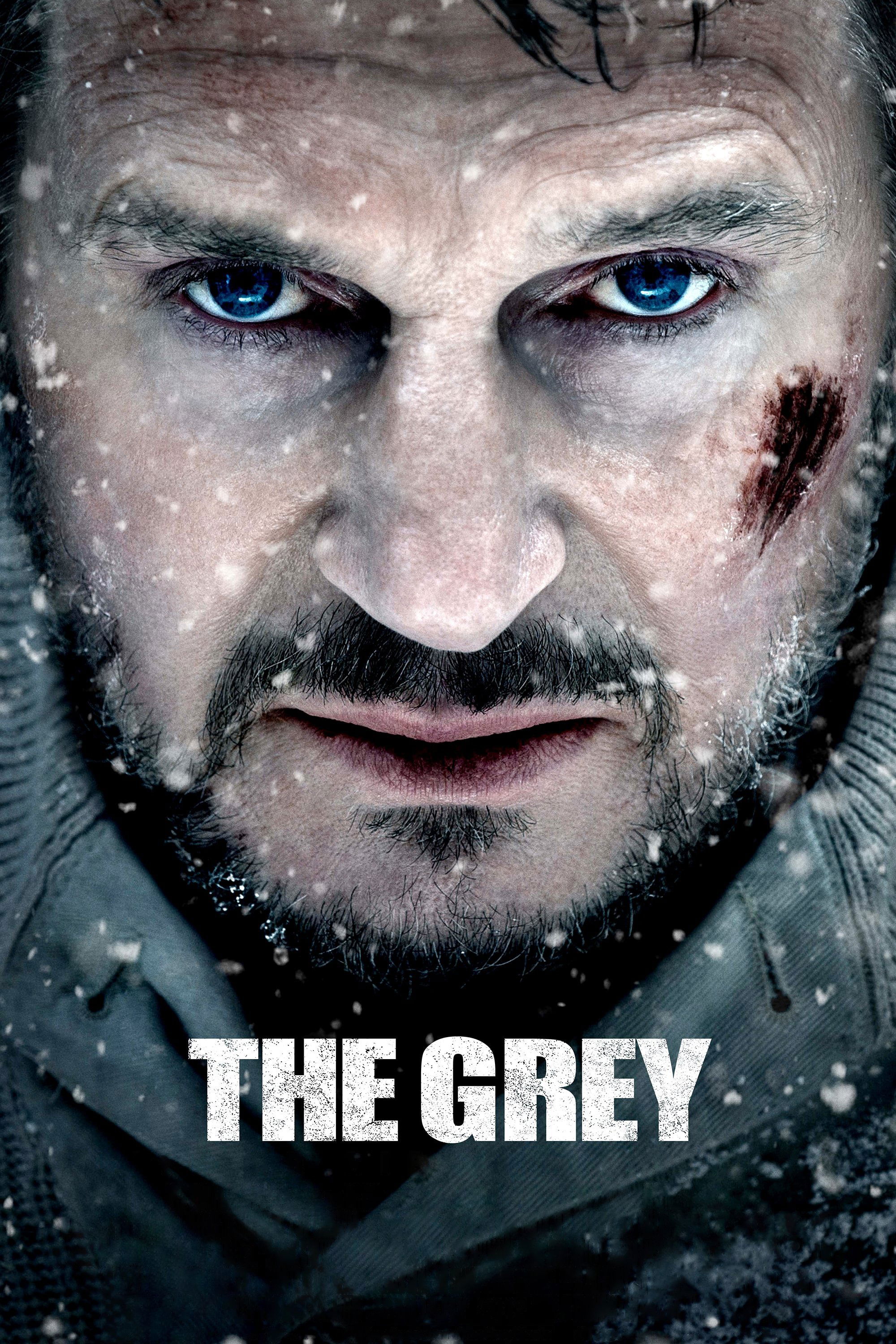 The Grey Blu-Ray - MangaShop.ro