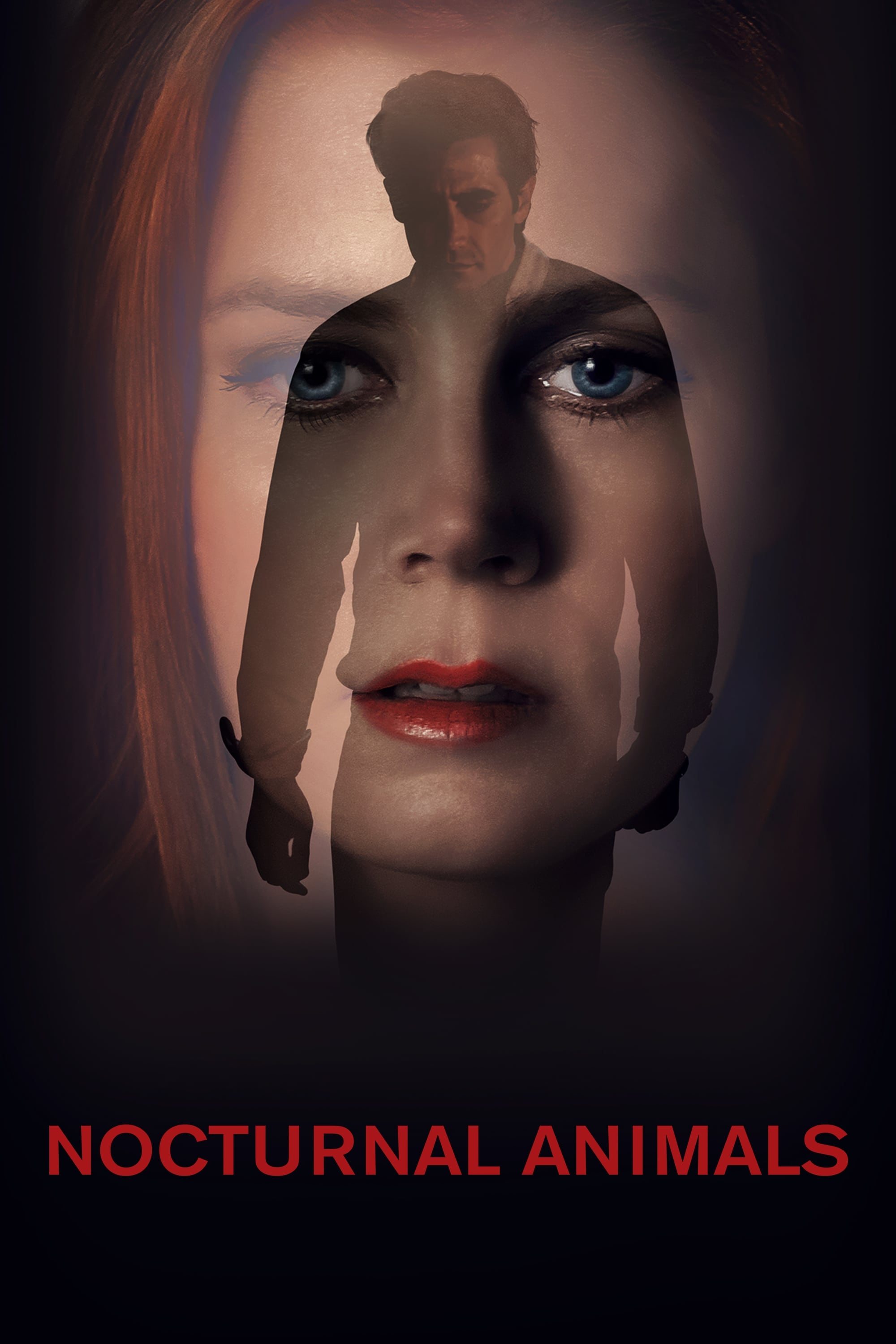 Nocturnal Animals 2016 Blu-ray - MangaShop.ro