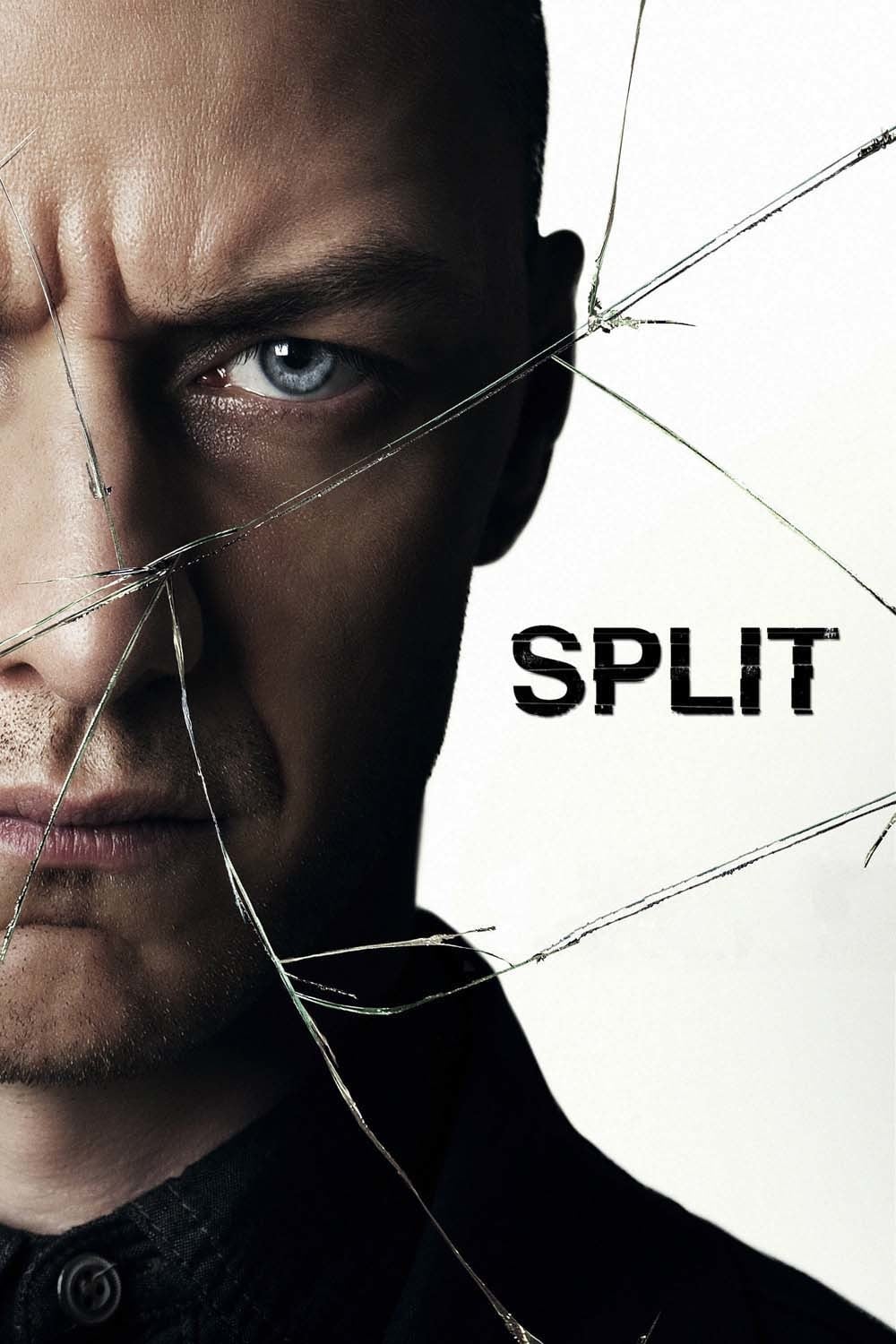 Split 2016 DVD - MangaShop.ro