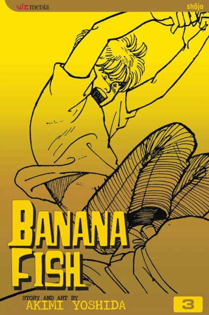 Banana Fish Vol.  3 - MangaShop.ro