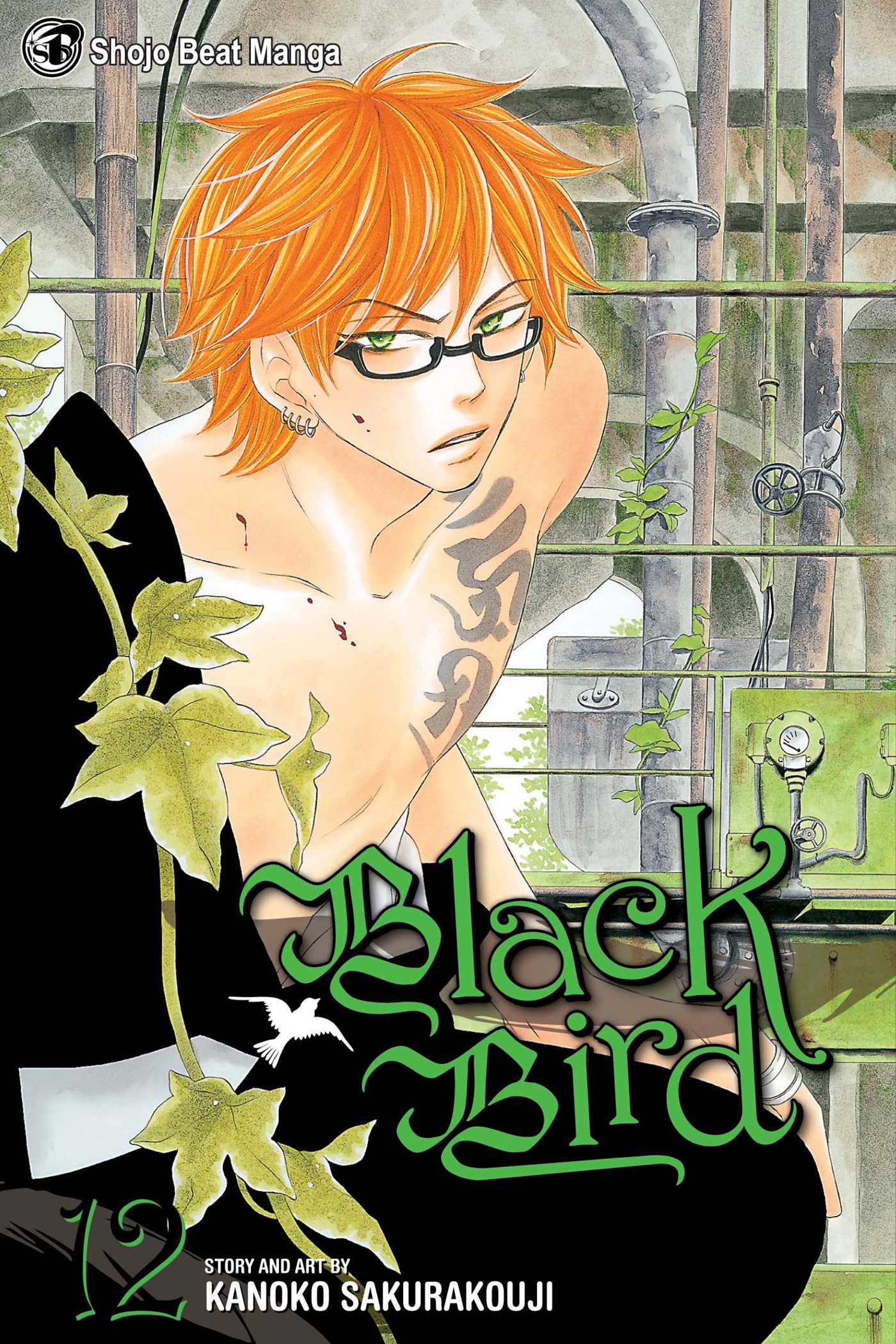Black Bird Vol. 12 - MangaShop.ro