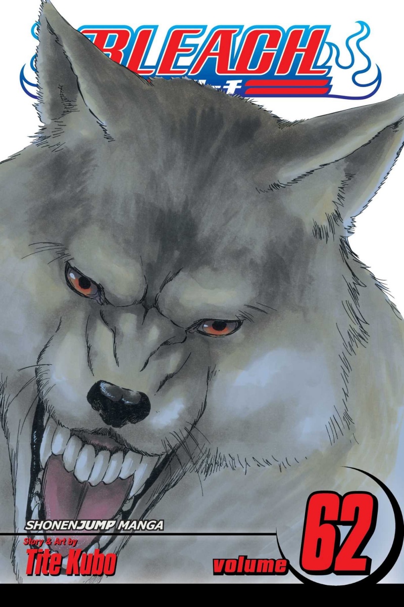 Bleach Vol. 62 - MangaShop.ro