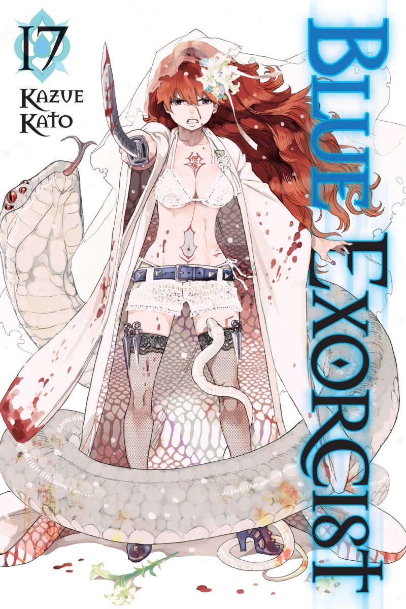 Blue Exorcist Vol. 17 - MangaShop.ro