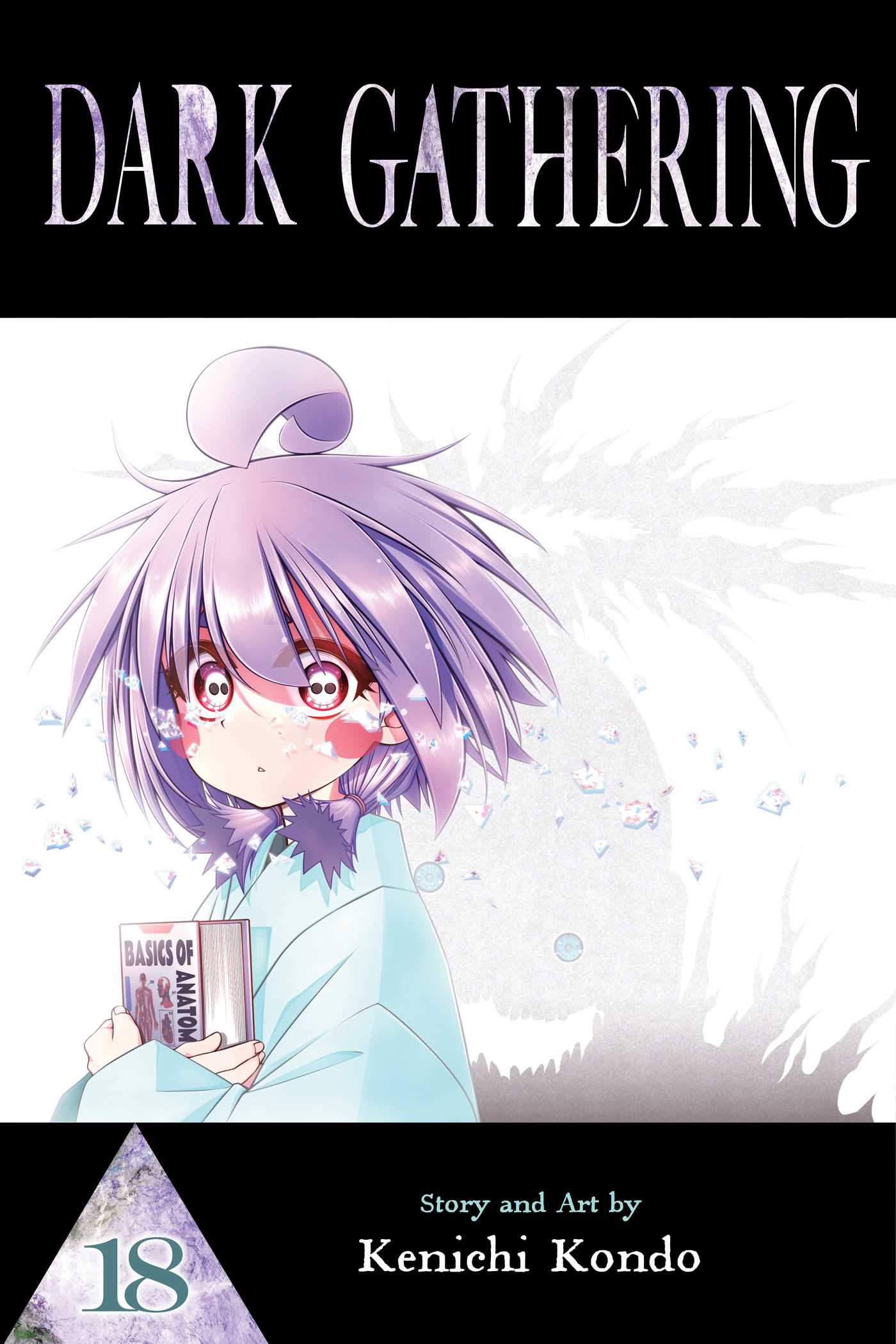 Dark Gathering, Vol. 18 - MangaShop.ro