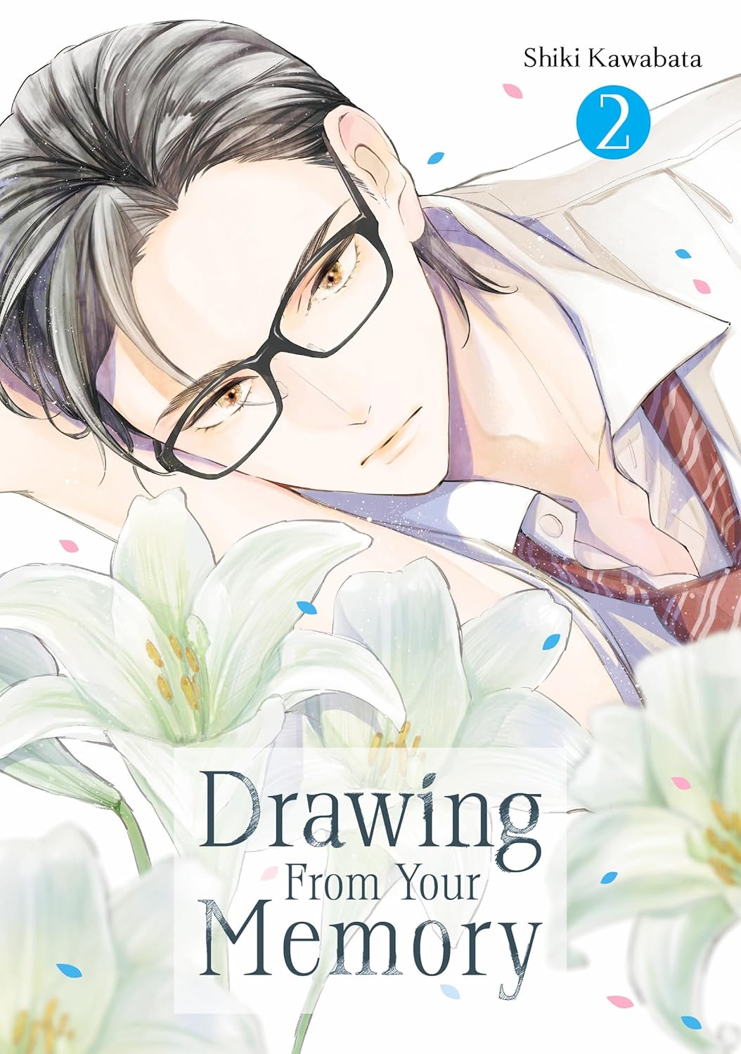 Drawing from Your Memory 2 - MangaShop.ro