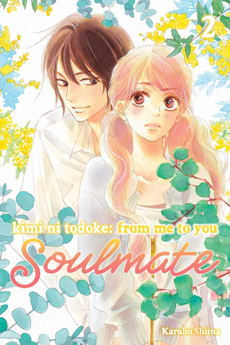 Kimi Ni Todoke: From Me to You: Soulmate, Vol. 2 - MangaShop.ro