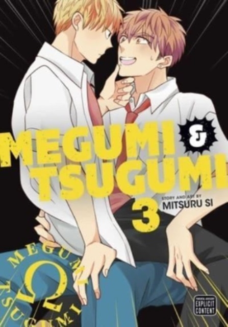 Megumi & Tsugumi, Vol. 3 - MangaShop.ro