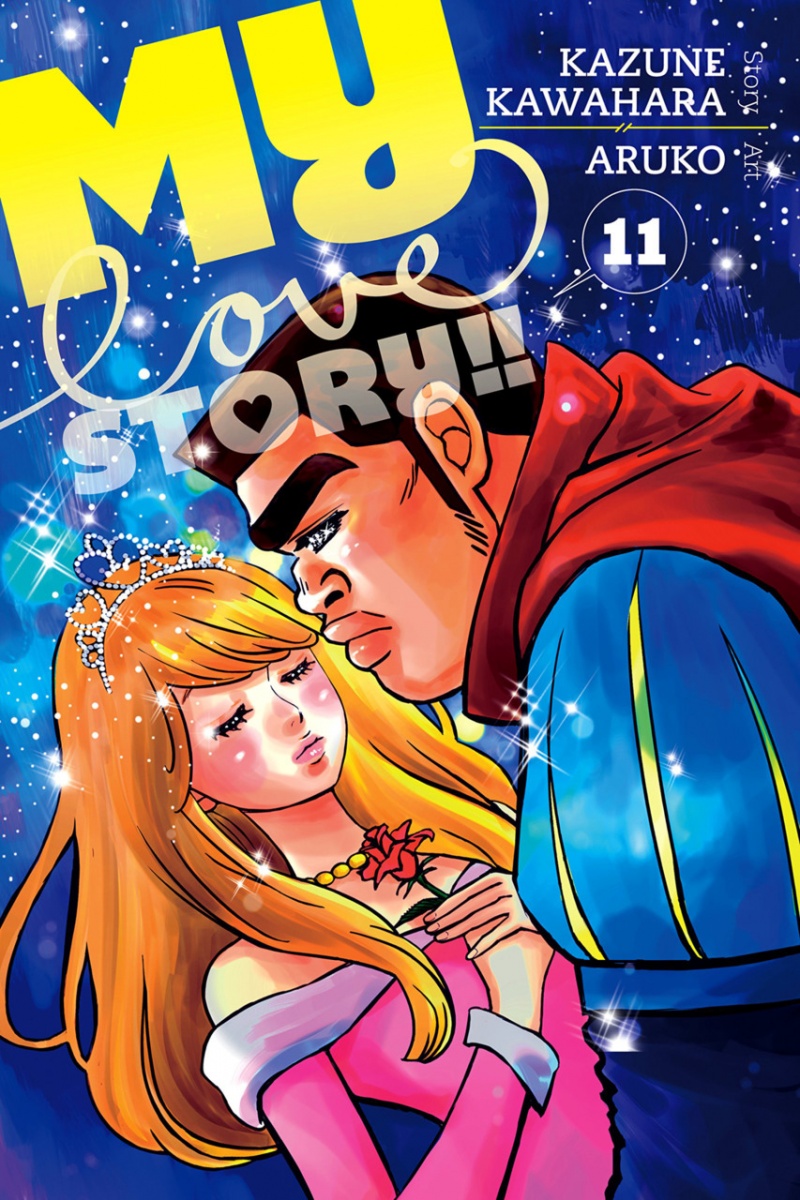 My Love Story!! Vol. 11 - MangaShop.ro