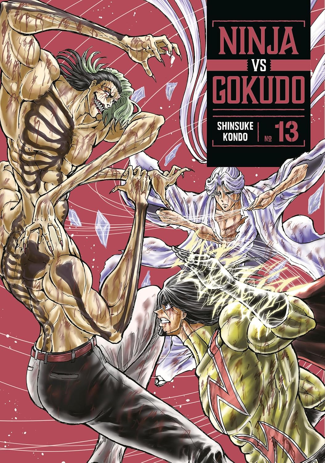 Ninja vs. Gokudo 13 - MangaShop.ro
