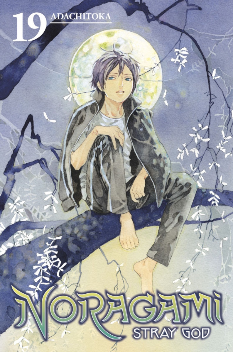 Noragami: Stray God Vol. 19 - MangaShop.ro