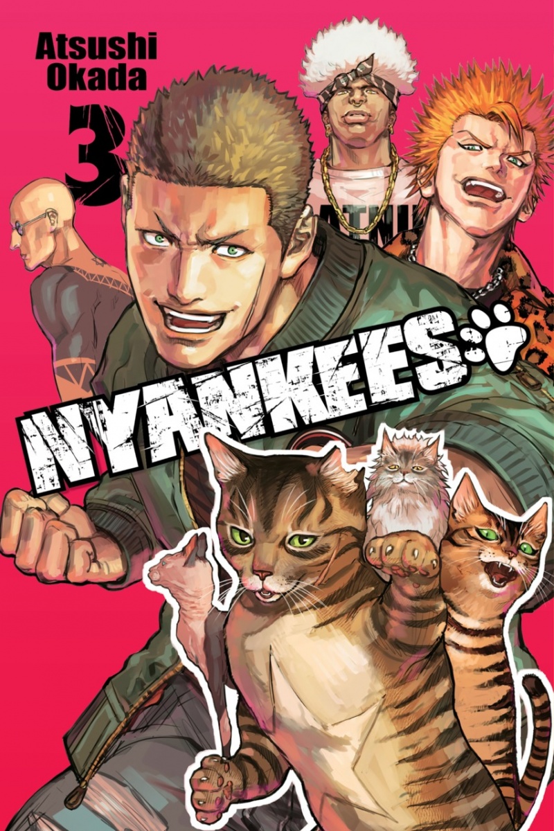 Nyankees Vol.  3 - MangaShop.ro