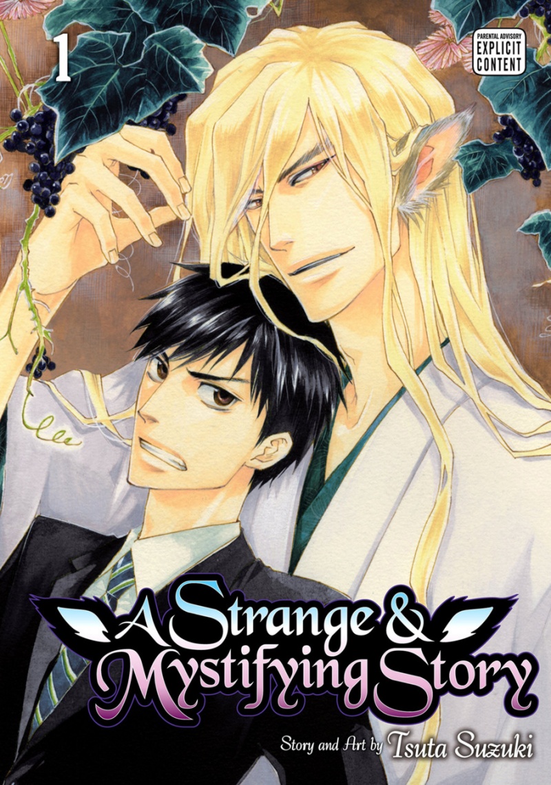 A Strange & Mystifying Story Vol.  1 - MangaShop.ro