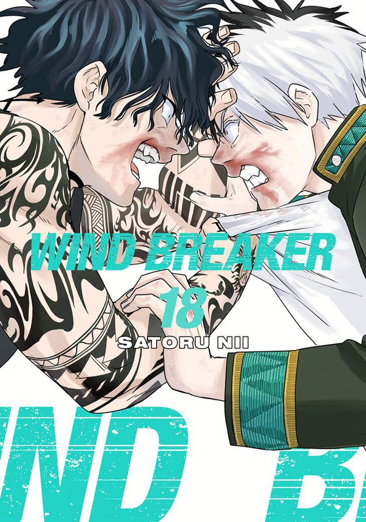 Wind Breaker 18 - MangaShop.ro