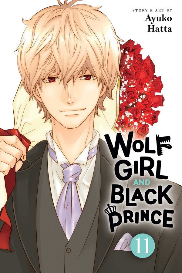 Wolf Girl and Black Prince, Vol. 11 - MangaShop.ro
