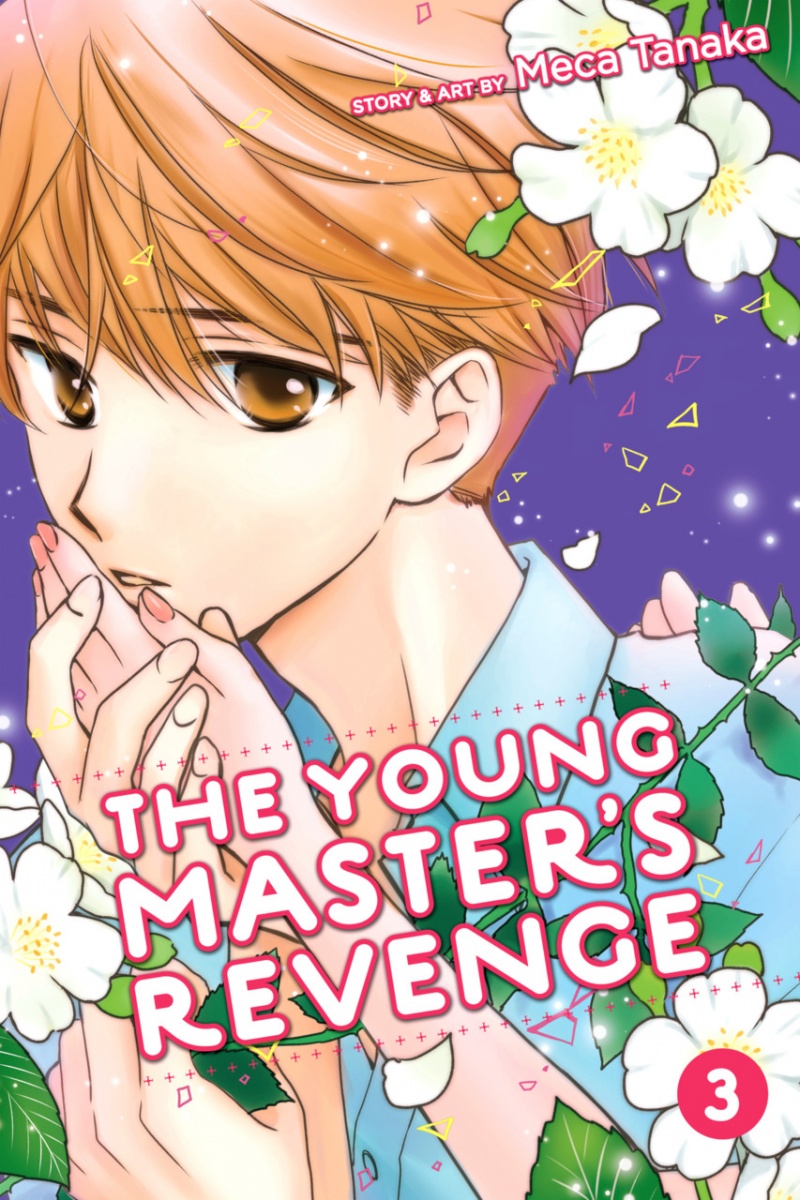The Young Master's Revenge Vol.  3 - MangaShop.ro